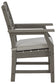 Visola Arm Chair With Cushion (2/CN) Milwaukee Furniture of Chicago - Furniture Store in Chicago Serving Humbolt Park, Roscoe Village, Avondale, & Homan Square