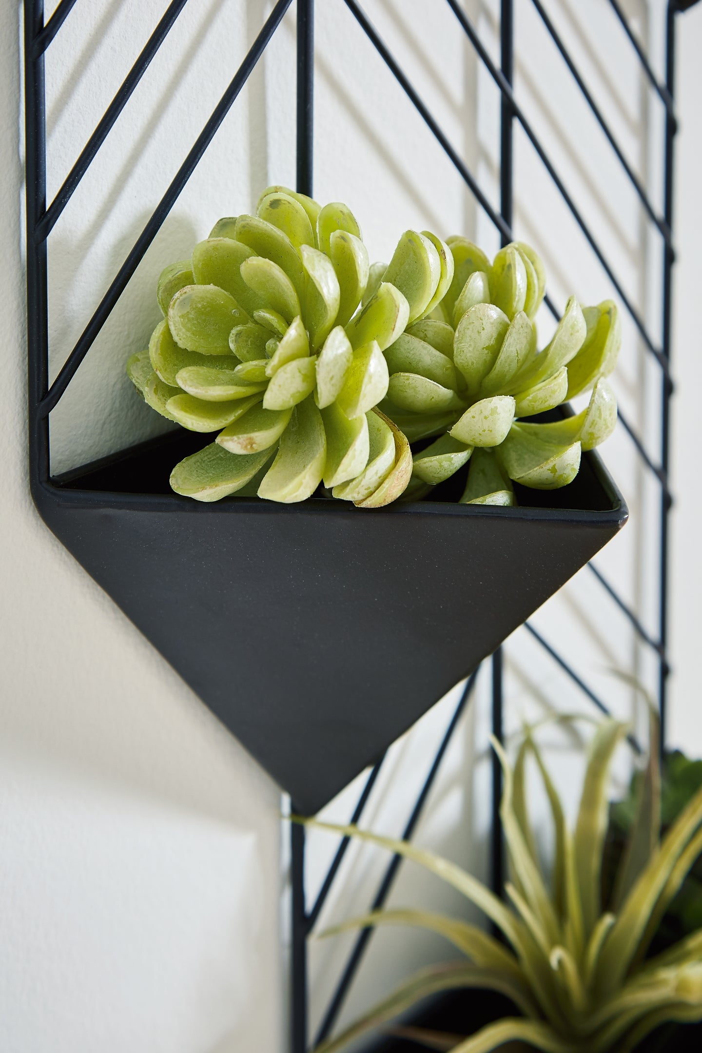 Dashney Wall Planter Milwaukee Furniture of Chicago - Furniture Store in Chicago Serving Humbolt Park, Roscoe Village, Avondale, & Homan Square