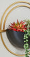 Tobins Wall Planter Set (3/CN) Milwaukee Furniture of Chicago - Furniture Store in Chicago Serving Humbolt Park, Roscoe Village, Avondale, & Homan Square